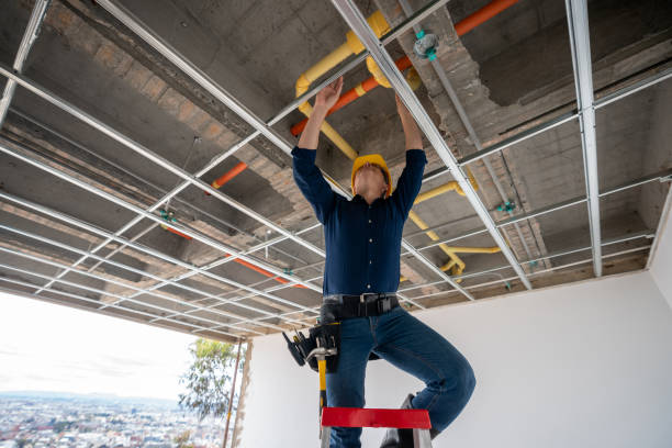 Best Plumbing Services Near Me  in Hamlet, NC